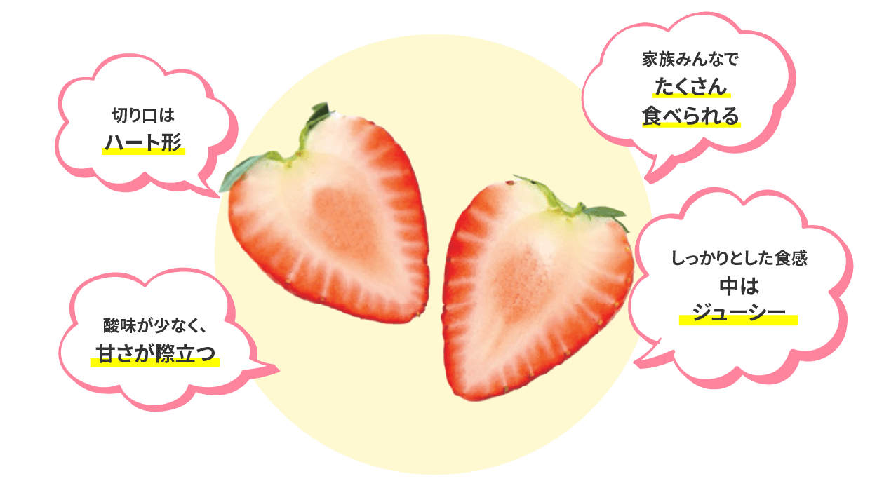 おいしさのヒミツにせまる！