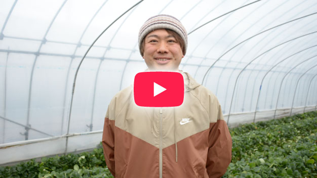 齋藤いちご園