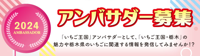 令和６年度「いちご王国」 アンバサダー募集！