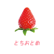 とちおとめ