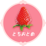とちおとめ