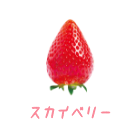 スカイベリー