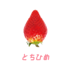 とちひめ