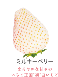 ミルキーベリー